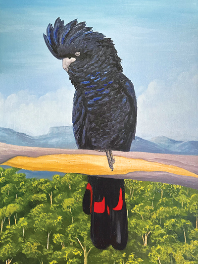 Red Tail Black Cockatoo by Kelly Logan