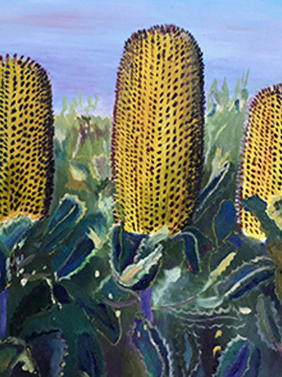 Banksias by Sue Youngman