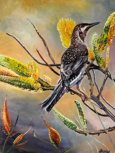 Wattle Bird by Sue Youngman