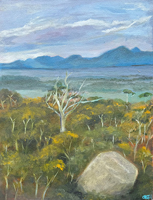 Beyond The Boulder - Adrienne Quenby