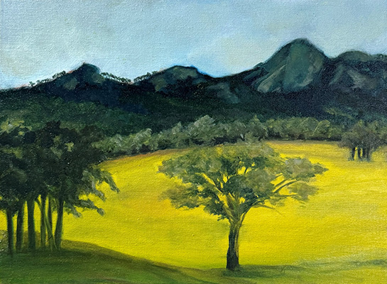 Shadow Side of the Porongurups - Adrienne Quenby