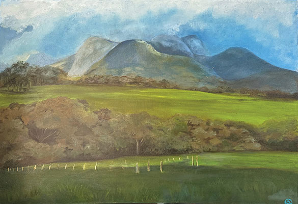 Top Paddock - Adrienne Quenby
