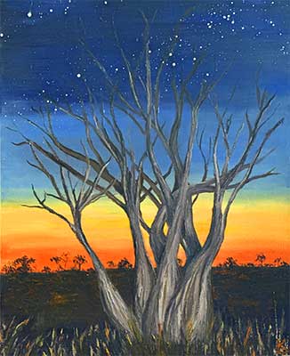 Boab Trees in the Evening Breeze - Kelly Logan