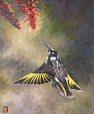 Eye On The Prize - New Holland Honey Eater - Kelly Logan