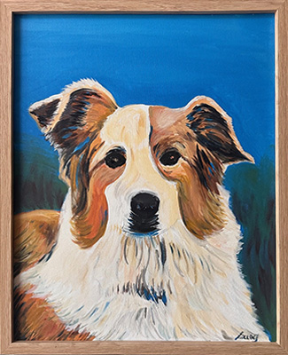 Willow - Sue Youngman